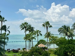 The Berth By The Cove (D4), Condominium #607044421
